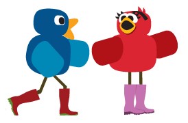 birds